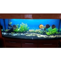 SZAFKA POD AKWARIUM AKWARIA DO 300L WZMOCNIONA Z OTWORAMI NA KABLE KOLORY